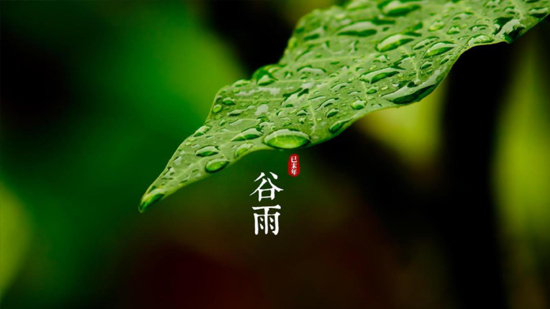 谷雨|喝一杯純凈好水，沐一場人間春色